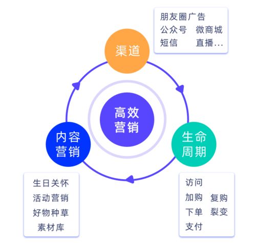 破解私域增長難題，微動天下企量SCRM如何以精細化運營賦能企業(yè)